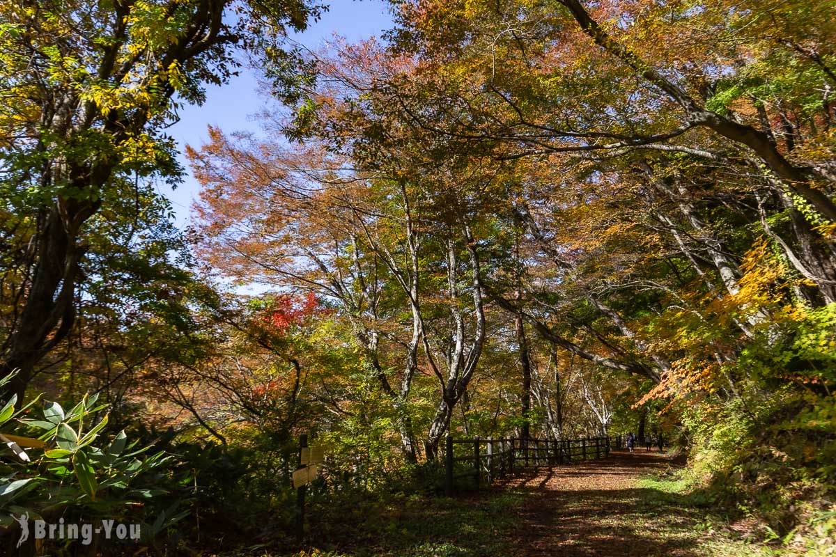 大深沢遊步道