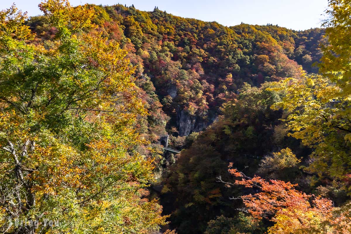 鳴子峽遊步道大深澤橋拍攝火車過橋的楓紅角度