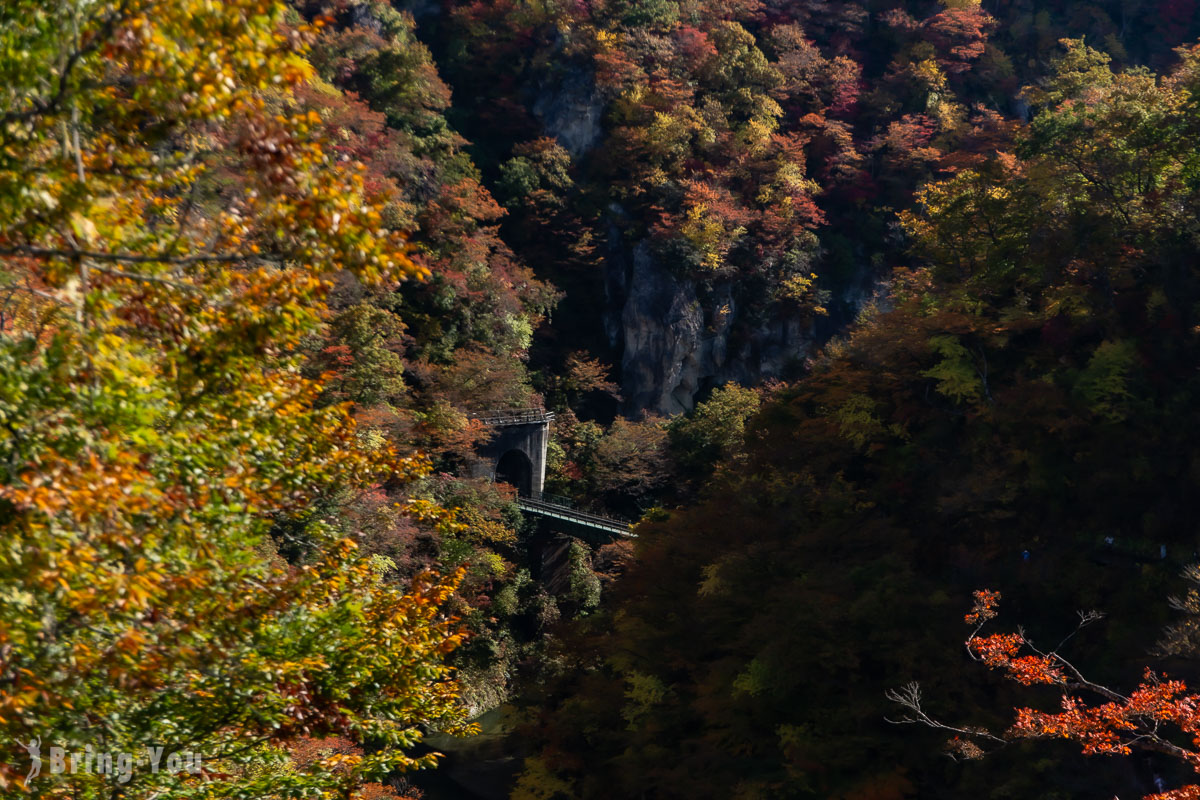 鳴子峽遊步道大深澤橋拍攝火車過橋的楓紅角度