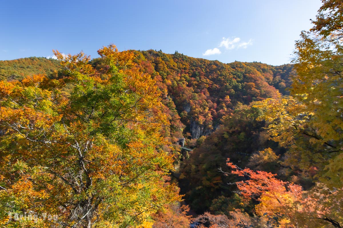 鳴子峽遊步道大深澤橋拍攝火車過橋的楓紅角度
