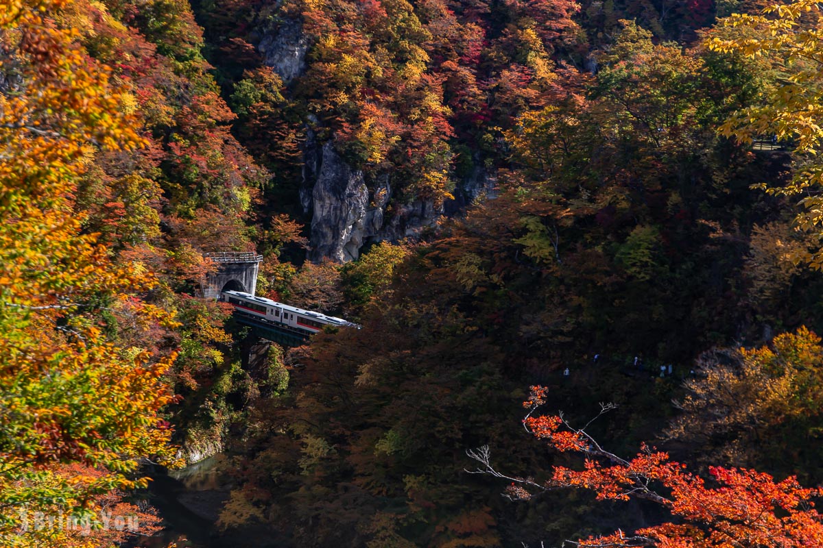 鳴子峽遊步道大深澤橋拍攝火車過橋的楓紅角度