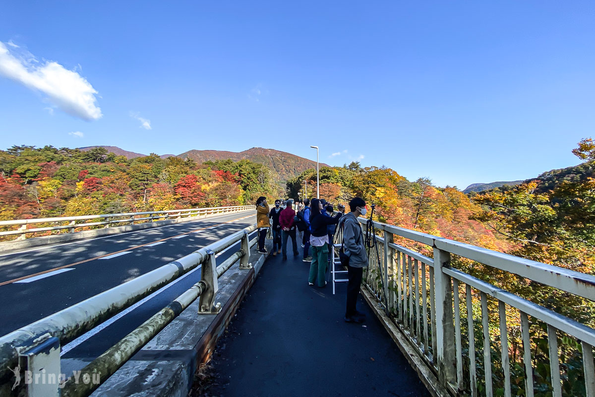 鳴子峽遊步道大深澤橋拍攝火車過橋的楓紅角度