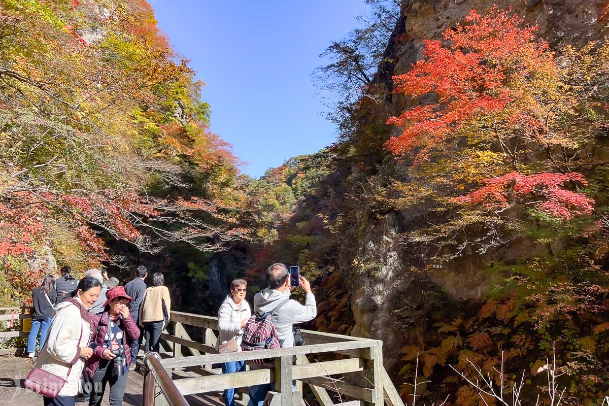 鳴子峽賞楓景點
