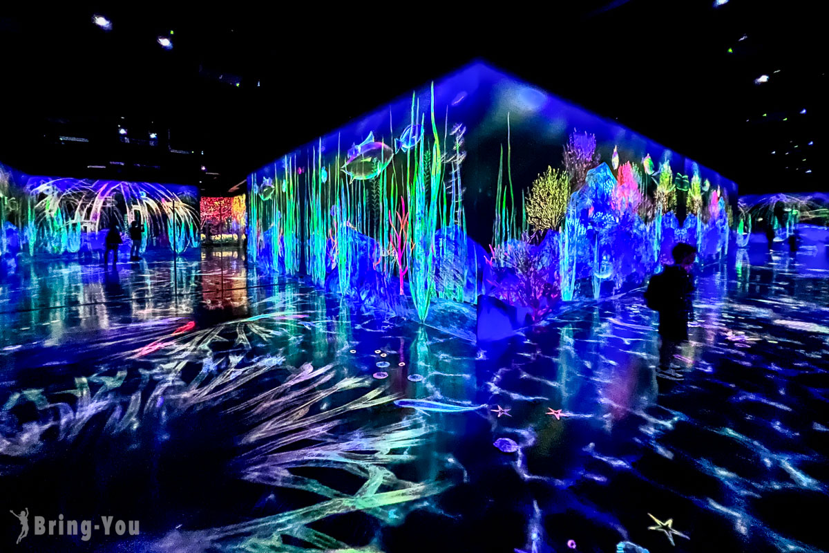 福岡 teamLab Forest