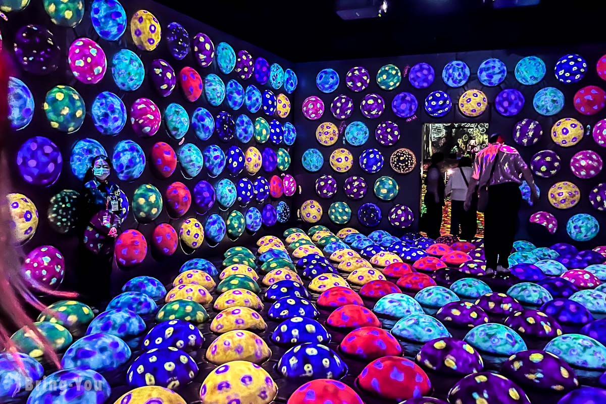 福岡 teamLab Forest