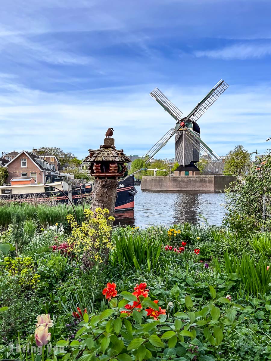 萊登景點普特風車(Molen De Put)
