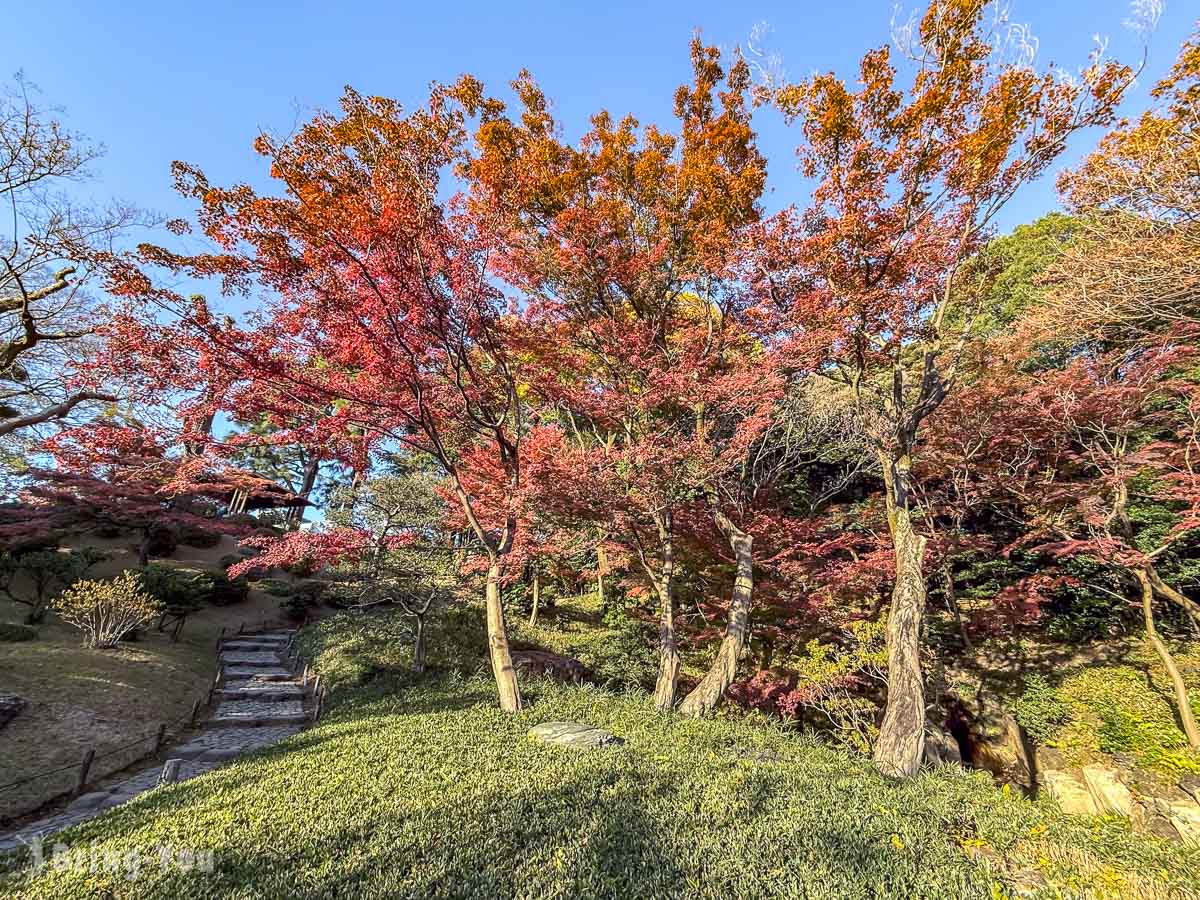 東京舊古河庭園楓葉