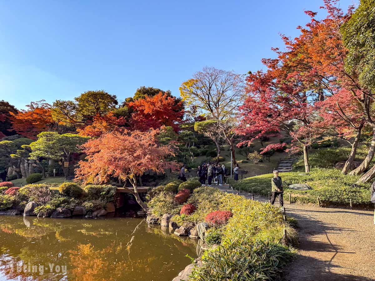 東京舊古河庭園｜日式庭園