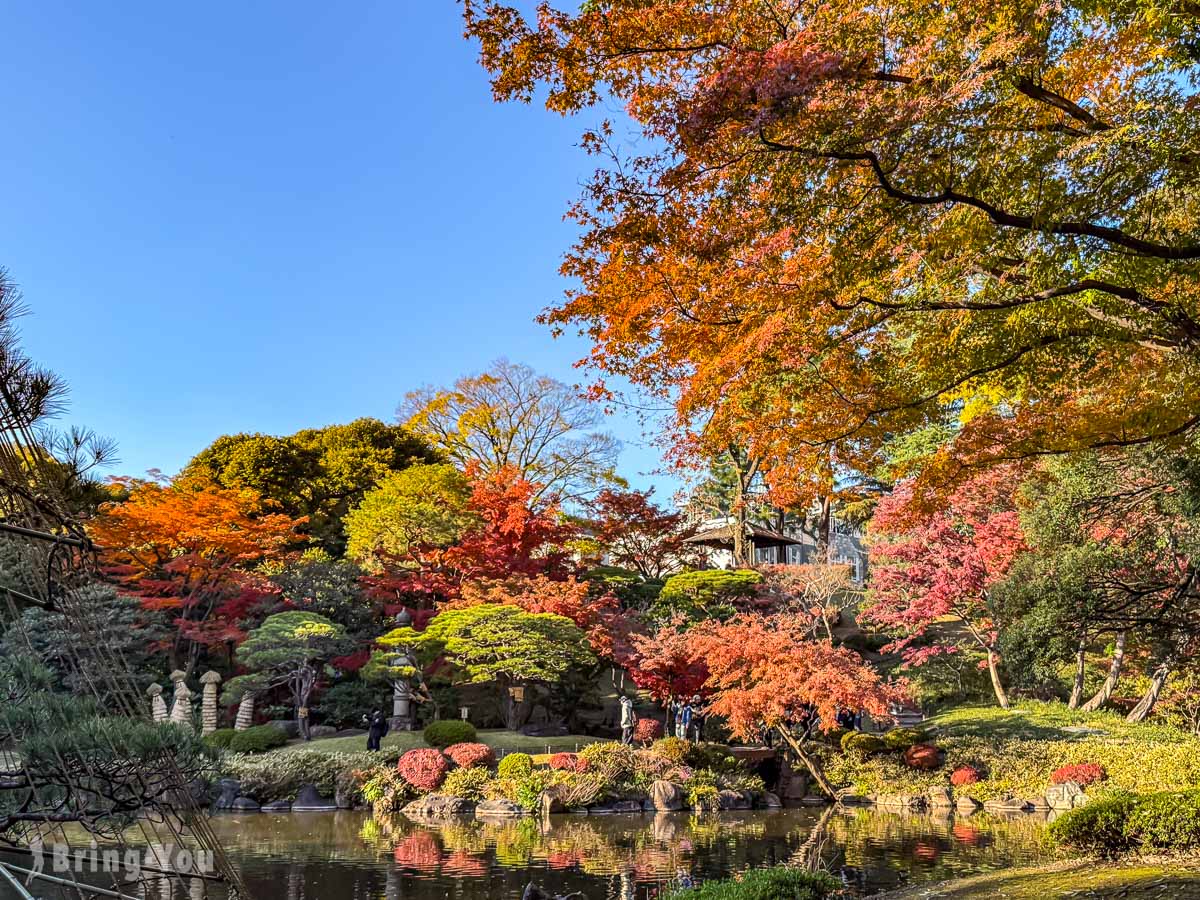 東京舊古河庭園｜日式庭園楓葉