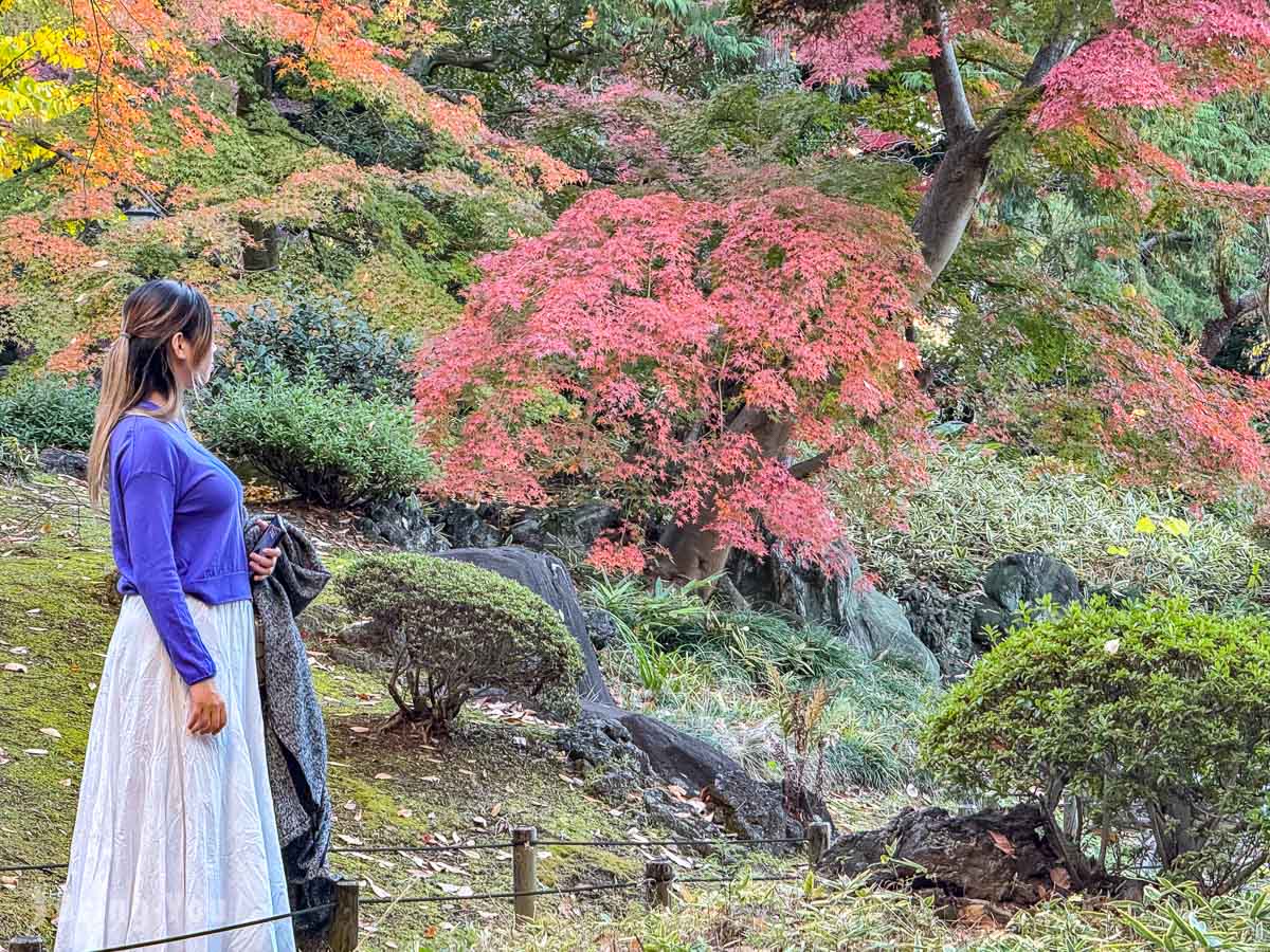 東京舊古河庭園｜日式庭園