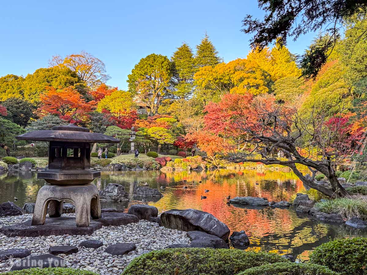 東京舊古河庭園｜日式庭園楓葉