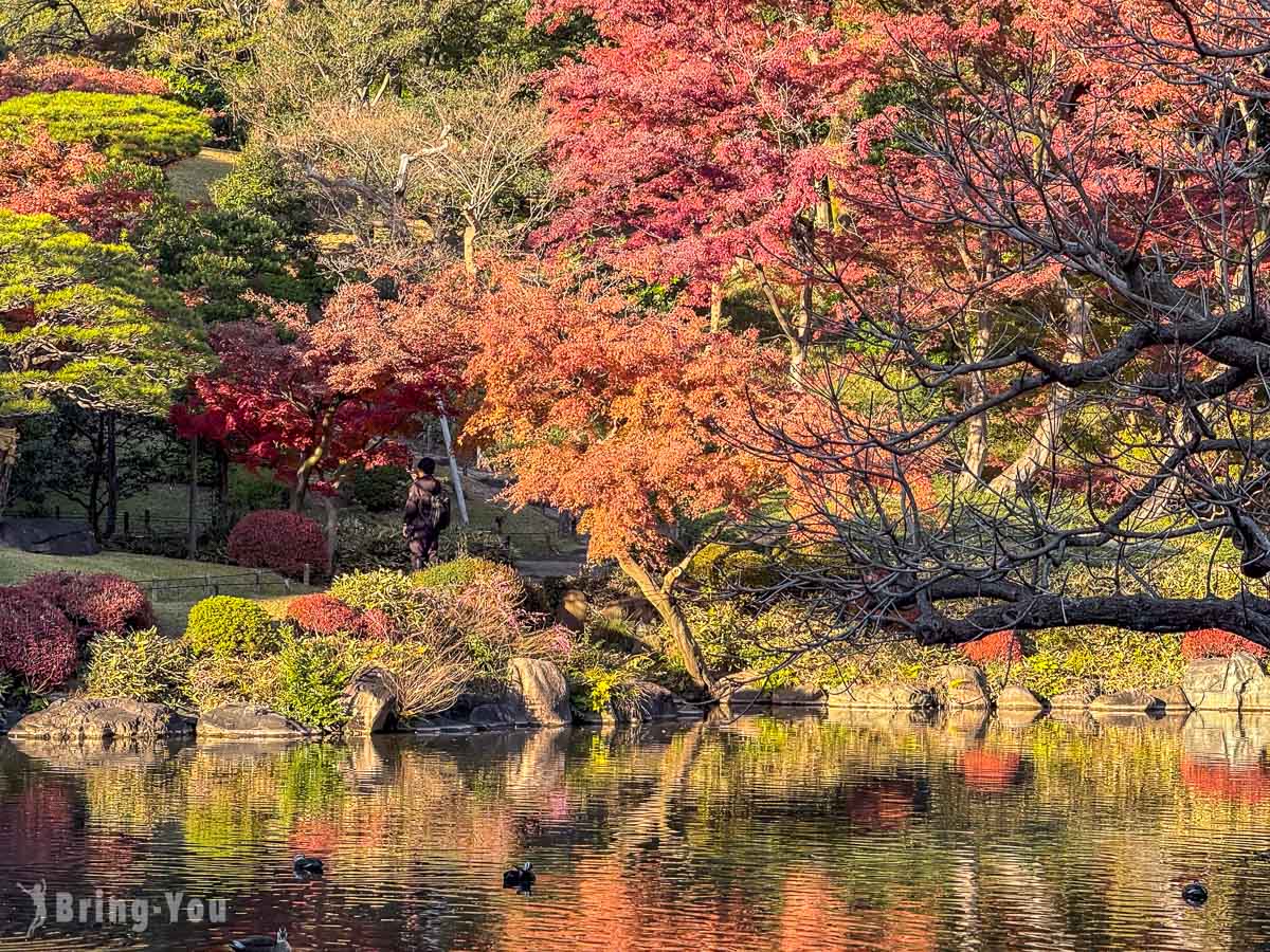 東京舊古河庭園｜日式庭園楓葉