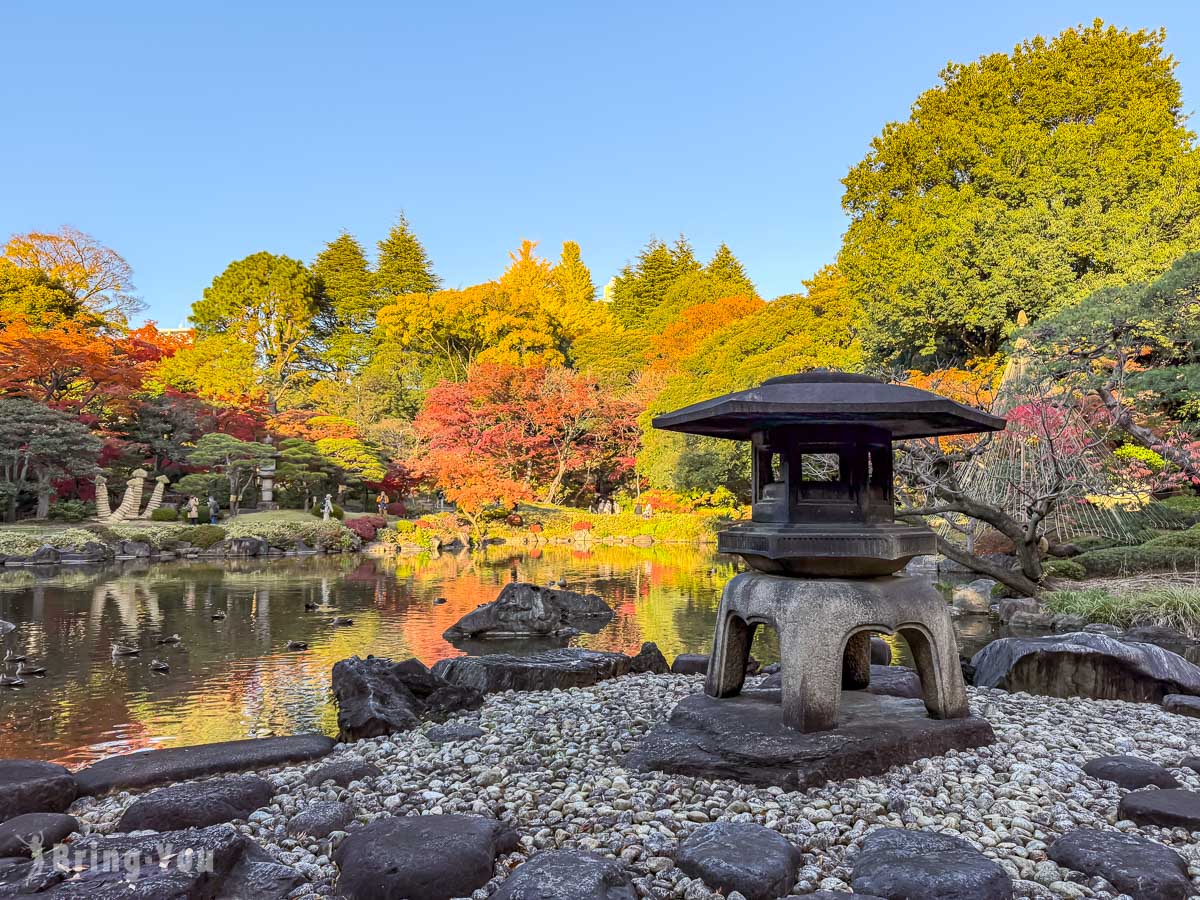 東京舊古河庭園｜日式庭園楓葉