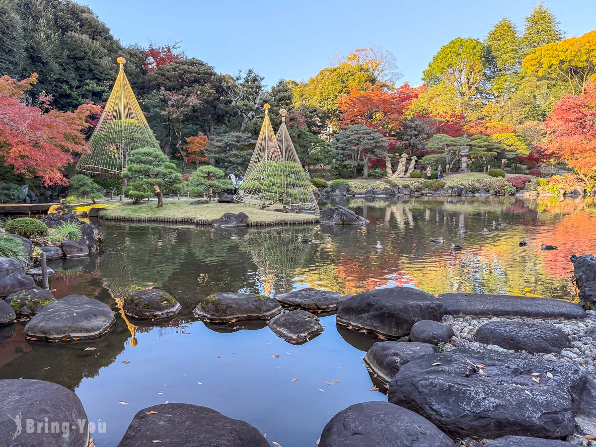東京舊古河庭園｜日式庭園楓葉