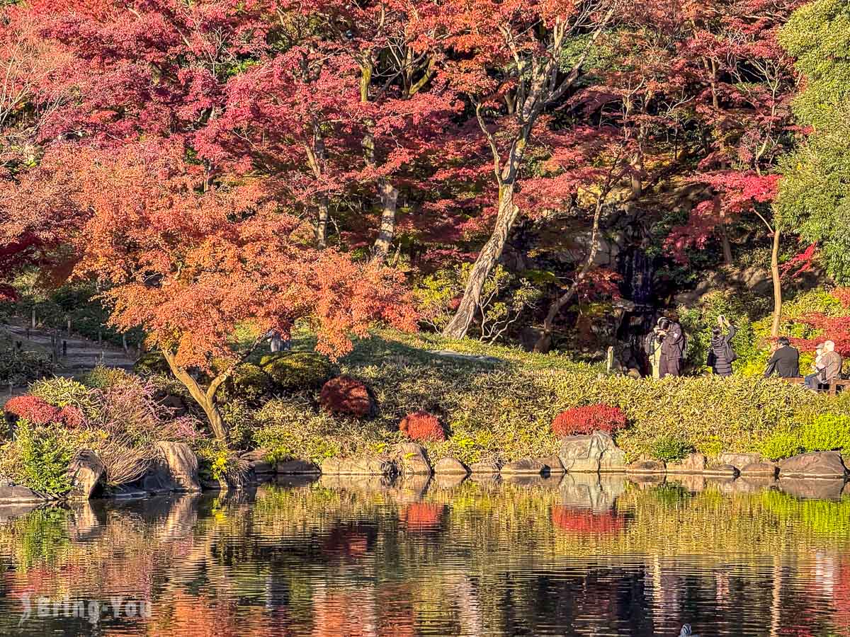 東京舊古河庭園｜日式庭園楓葉