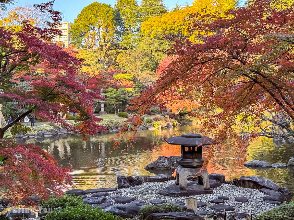 東京舊古河庭園｜日式庭園楓葉