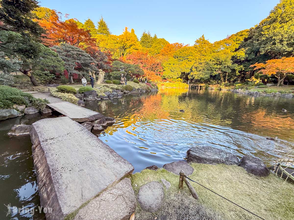 東京舊古河庭園｜日式庭園楓葉