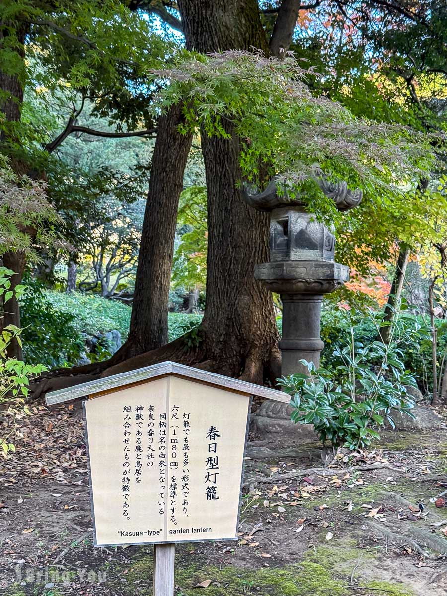 東京舊古河庭園｜日式庭園