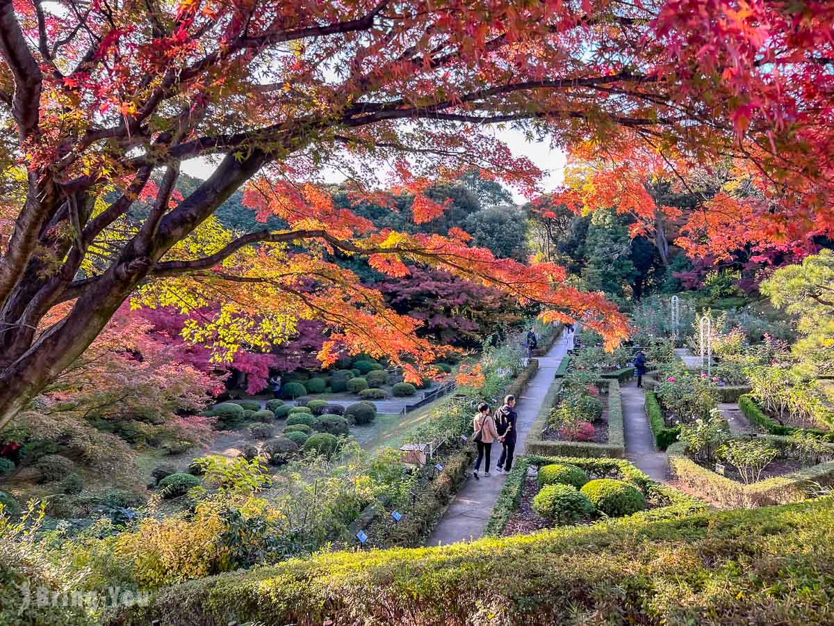 東京舊古河庭園｜西洋庭園