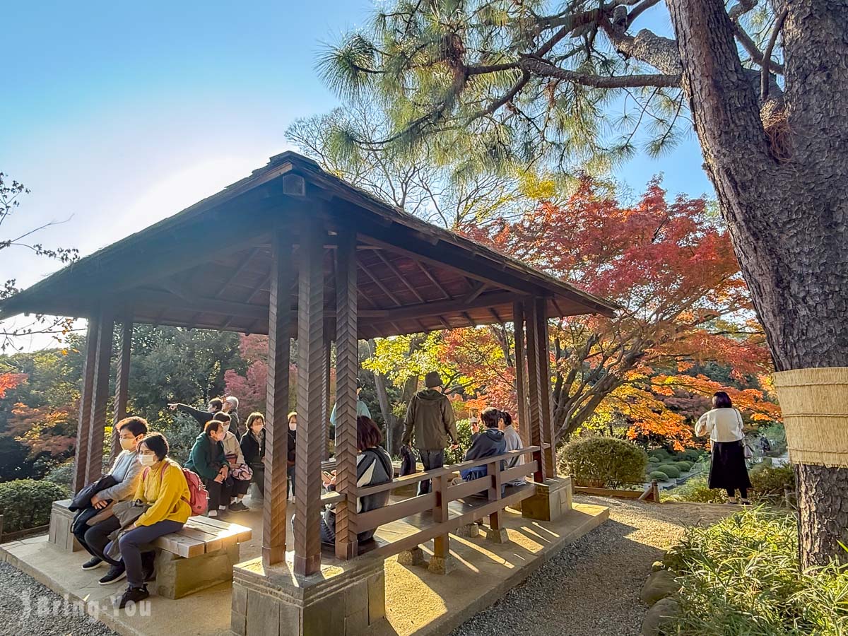 東京舊古河庭園展望台
