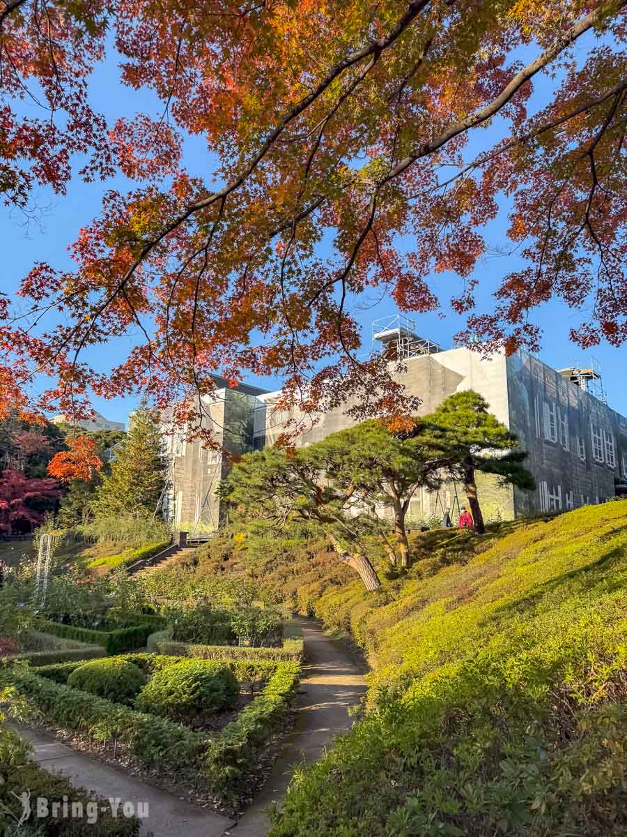 東京舊古河庭園楓葉