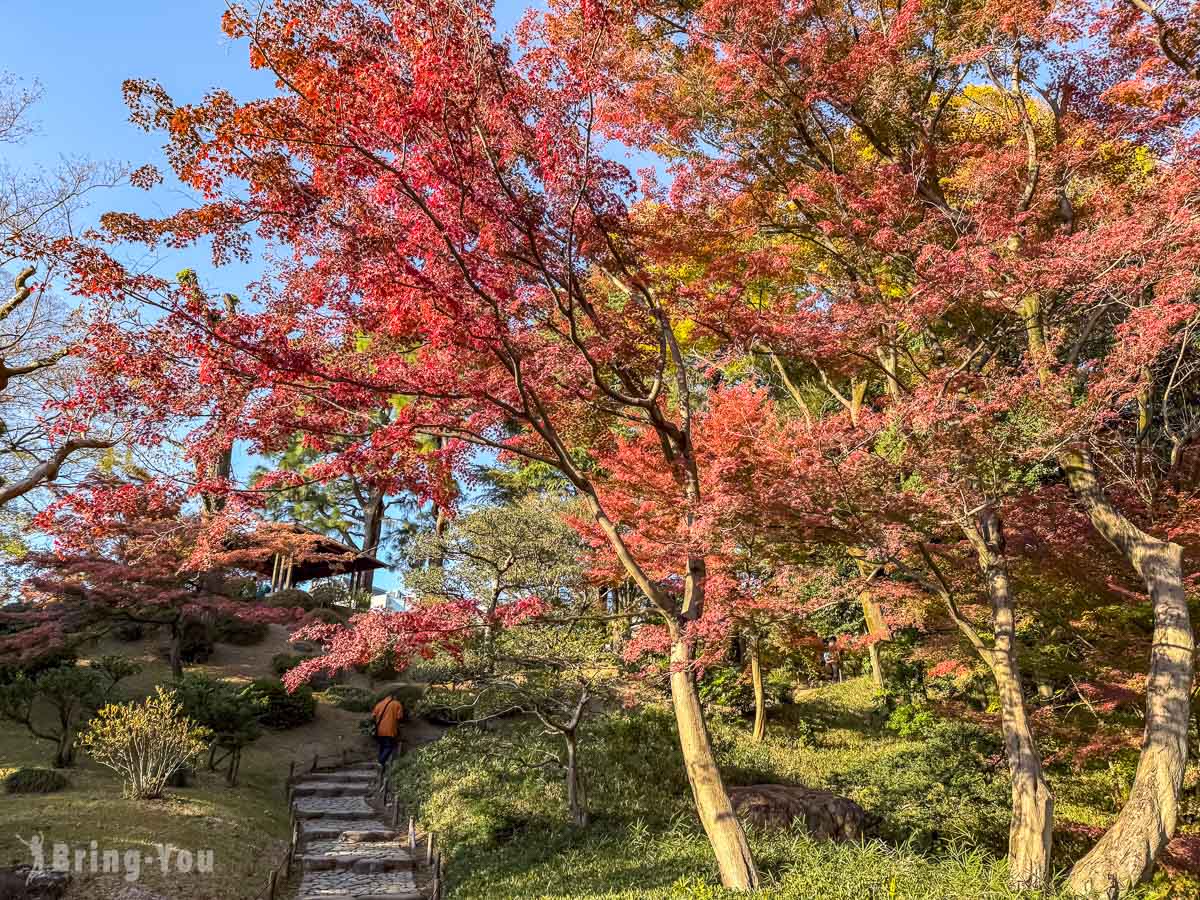 東京舊古河庭園楓葉