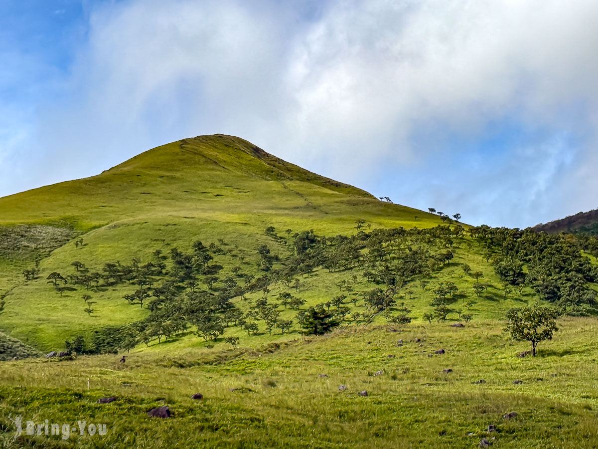 由布岳登山口