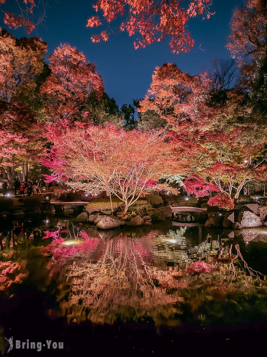 大田黑公園紅葉景點