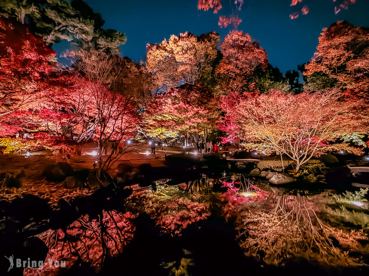 大田黑公園紅葉景點