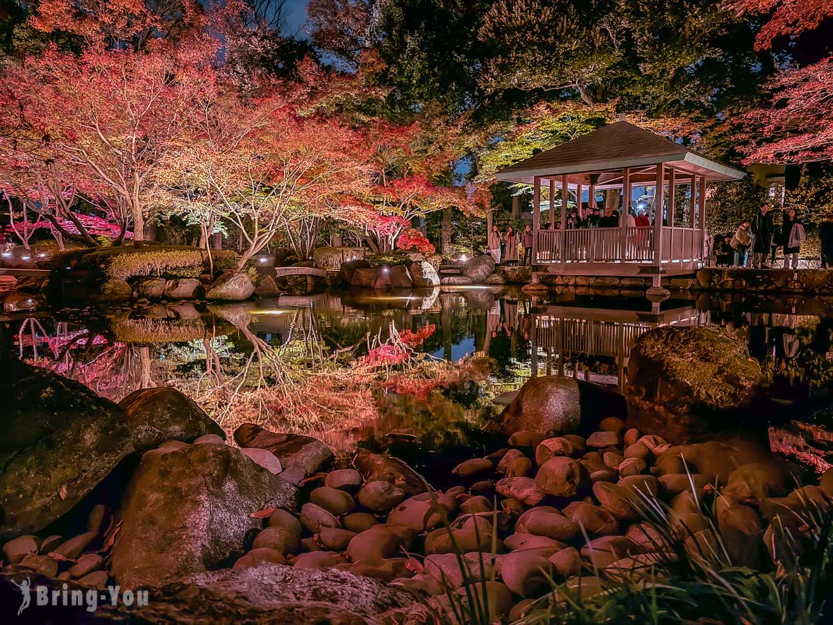 大田黑公園紅葉景點