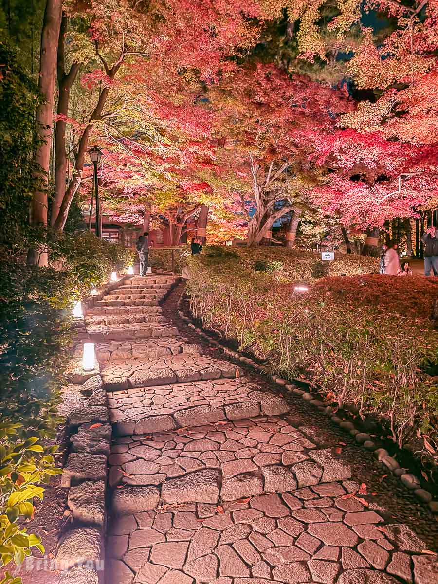 大田黑公園紅葉景點