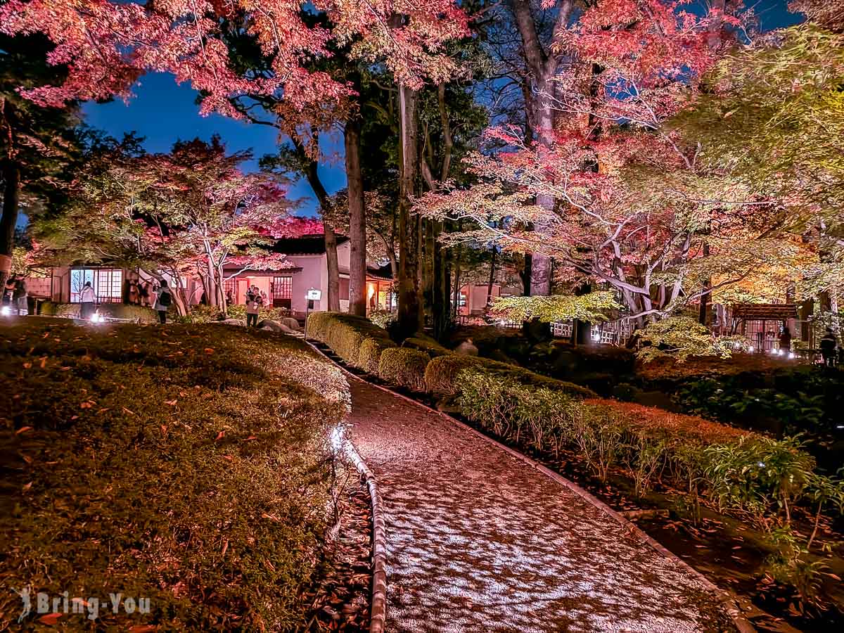 大田黑公園紅葉景點
