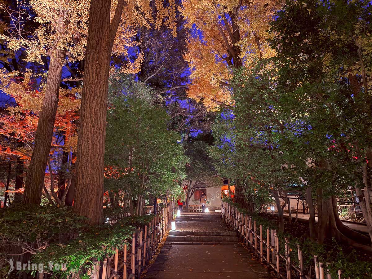 大田黑公園紅葉景點