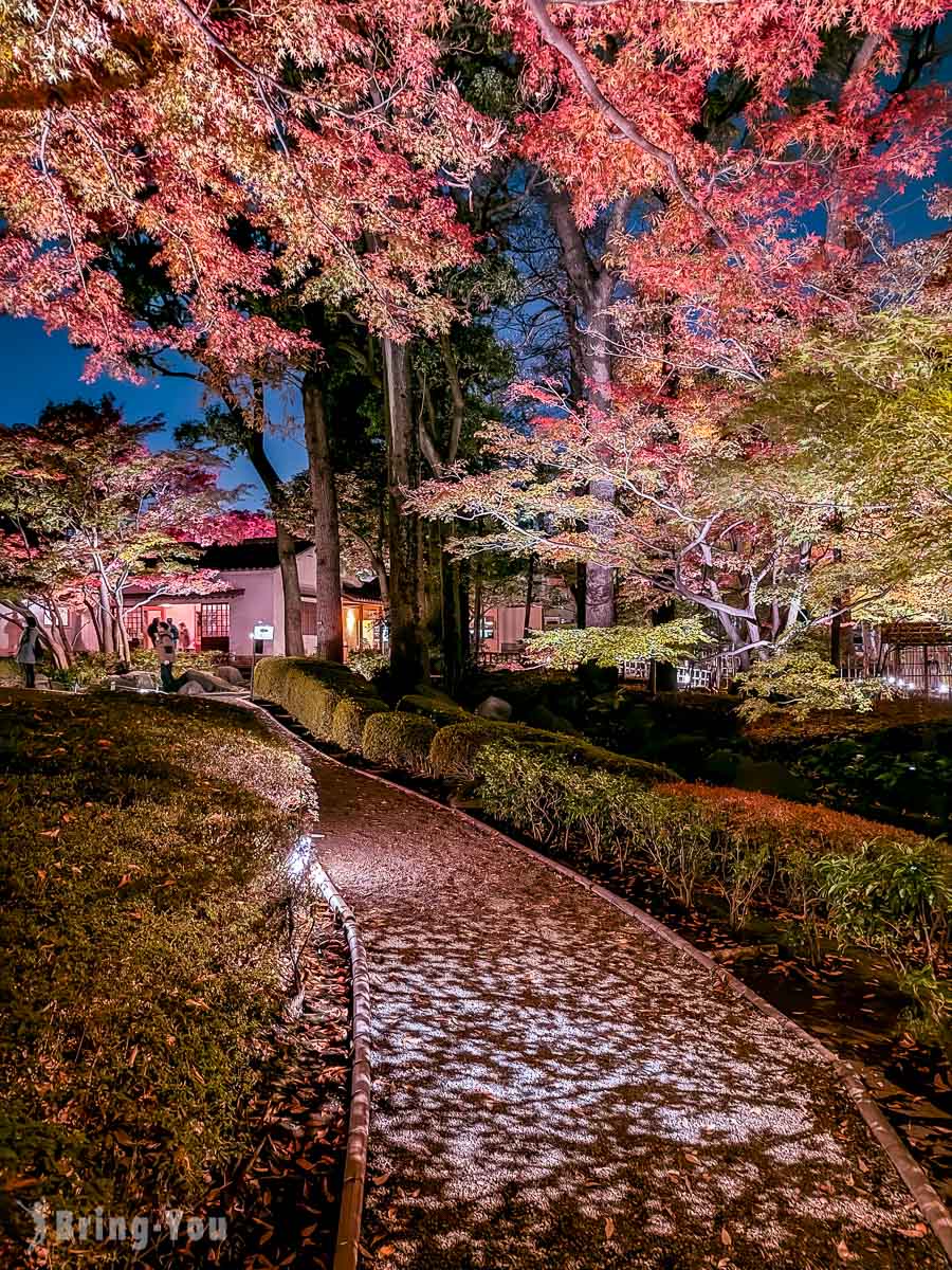 大田黑公園紅葉景點