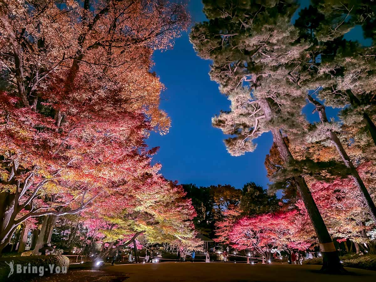 大田黑公園紅葉景點