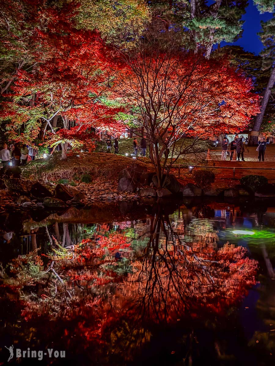 大田黑公園紅葉景點