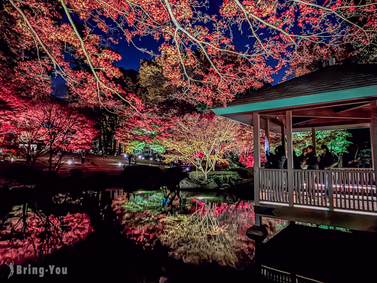 大田黑公園紅葉景點
