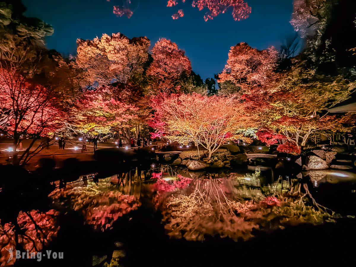 大田黑公園紅葉景點