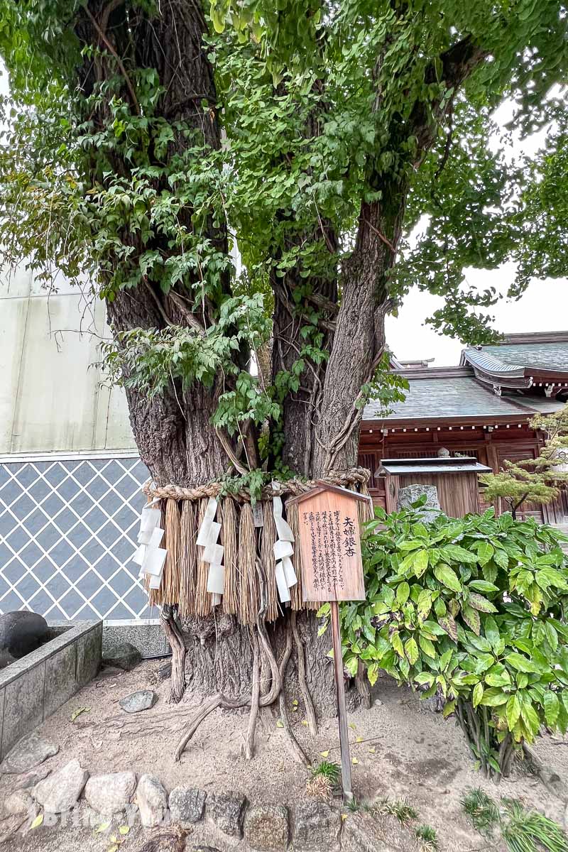 福岡櫛田神社