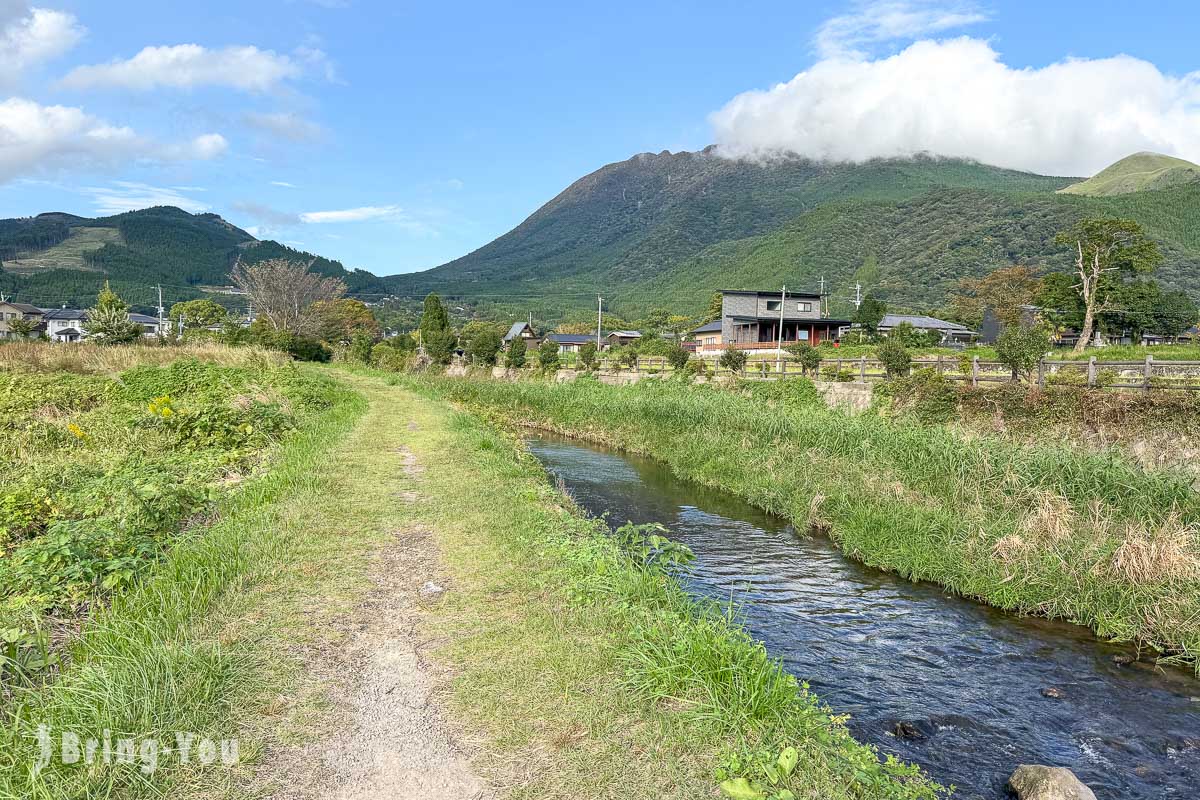 由布院的乡村田园风光