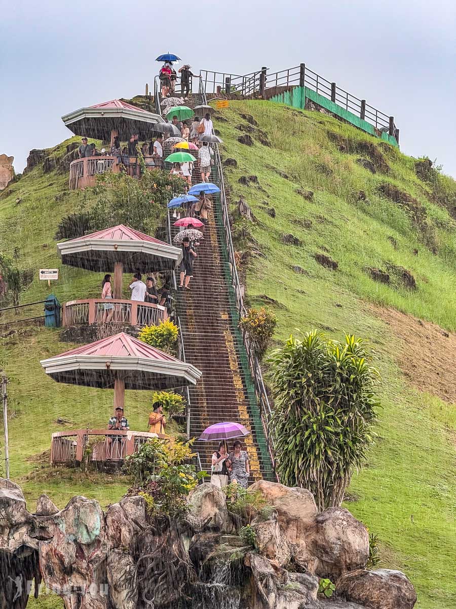 薄荷島巧克力山一日遊