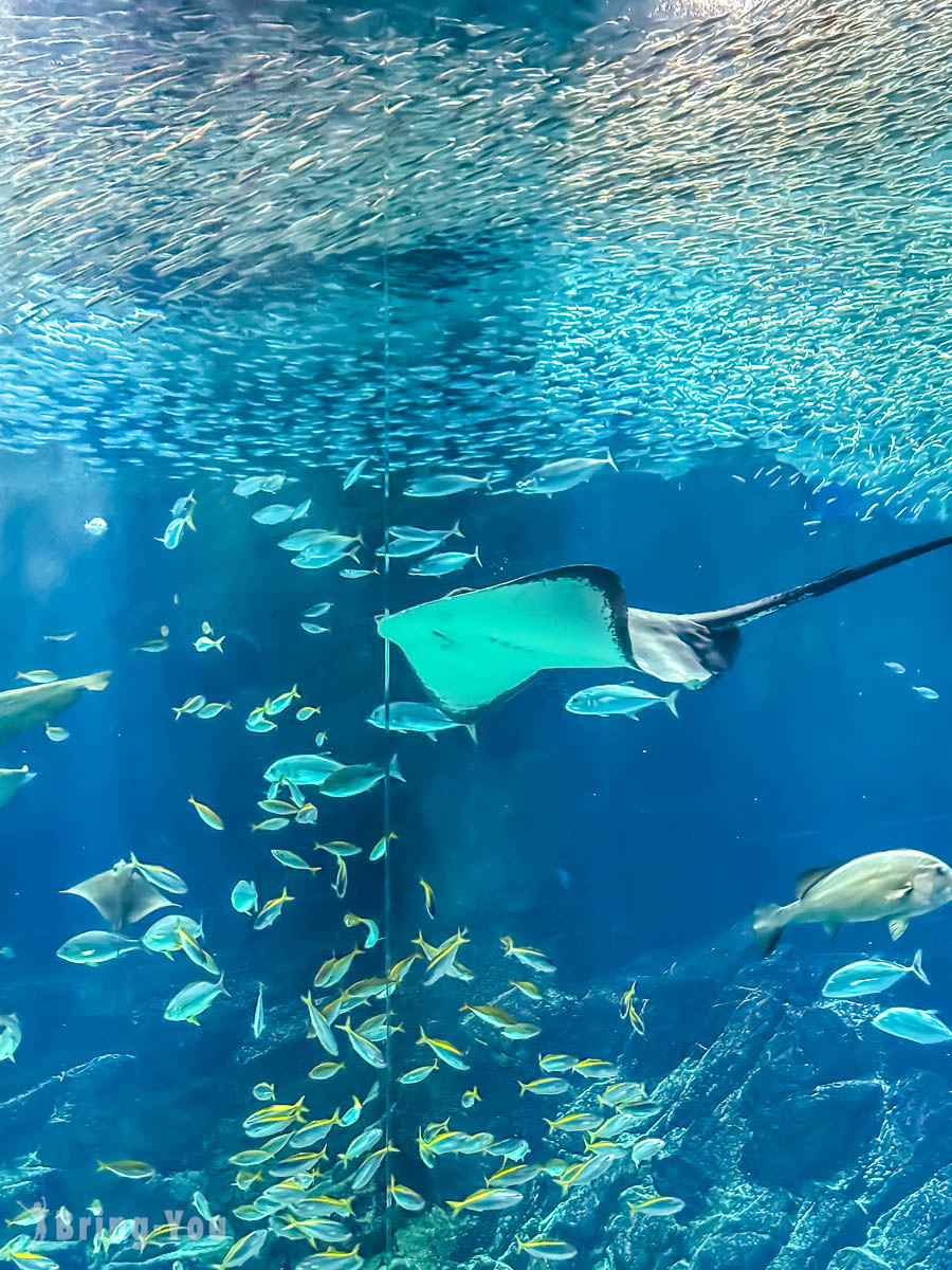 福岡親子景點|海洋世界海之中道