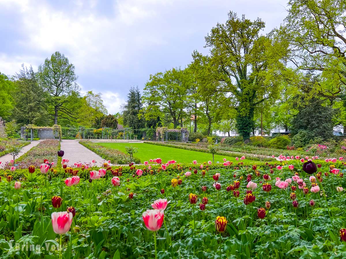 伯恩必去景點|玫瑰園(Rose Garden)