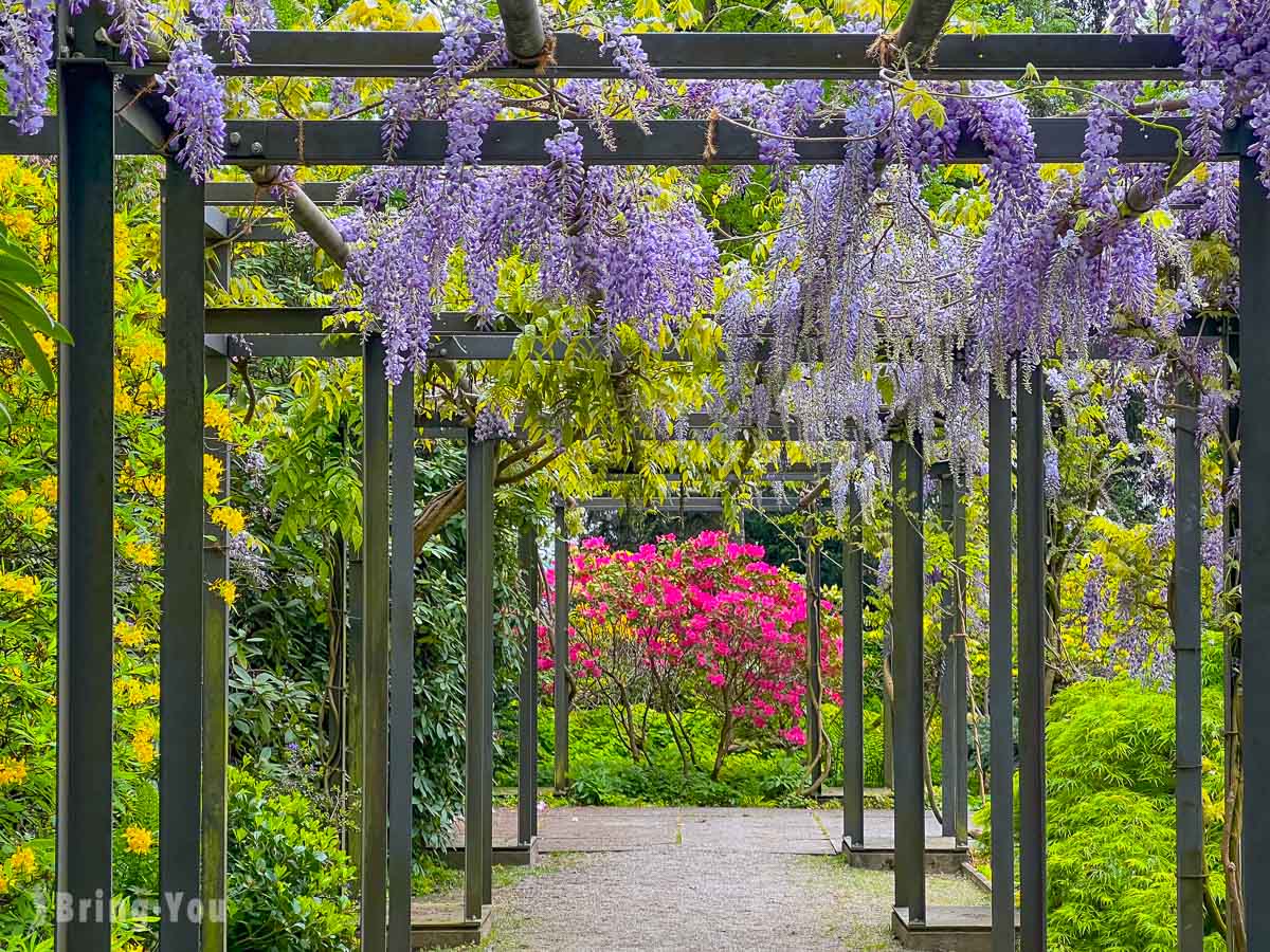 伯恩必去景點|玫瑰園(Rose Garden)