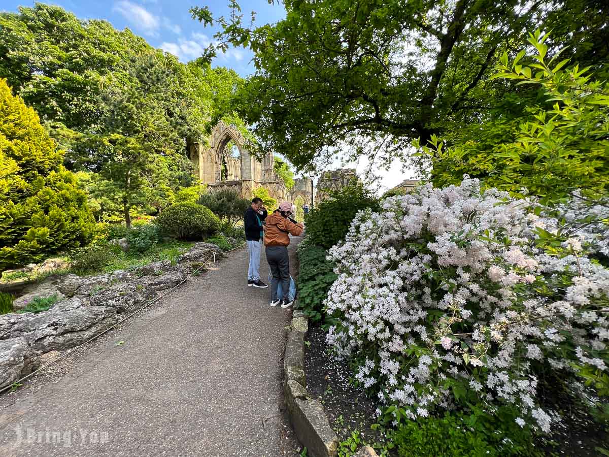 約克景點|約克博物館花園 & 約克博物館