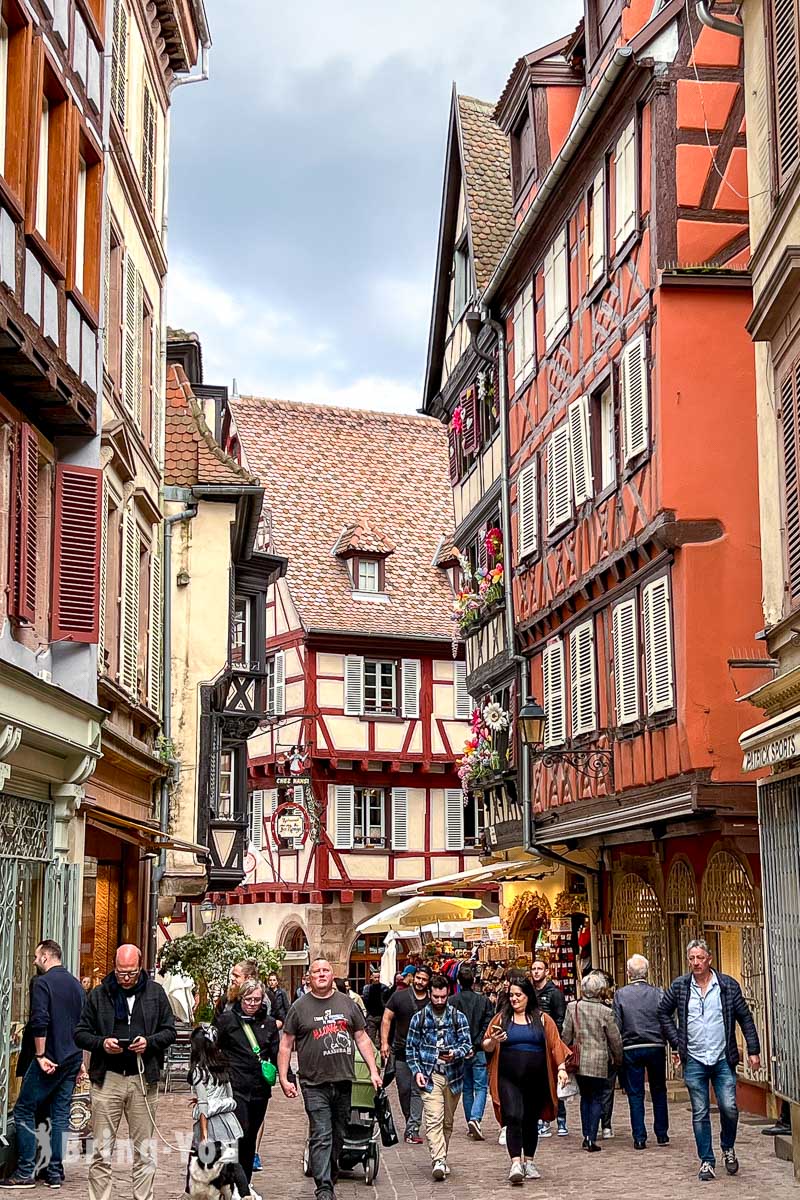 Colmar 科爾⾺景點