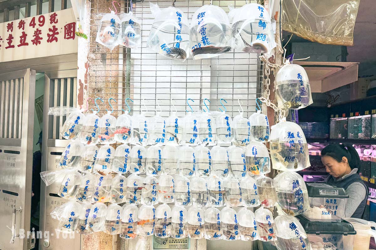 香港旺角景點推薦|金魚街