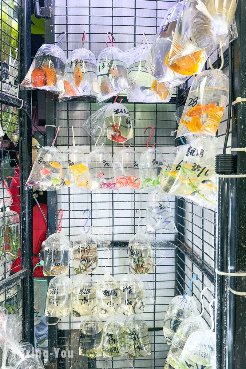 香港旺角景點推薦|金魚街