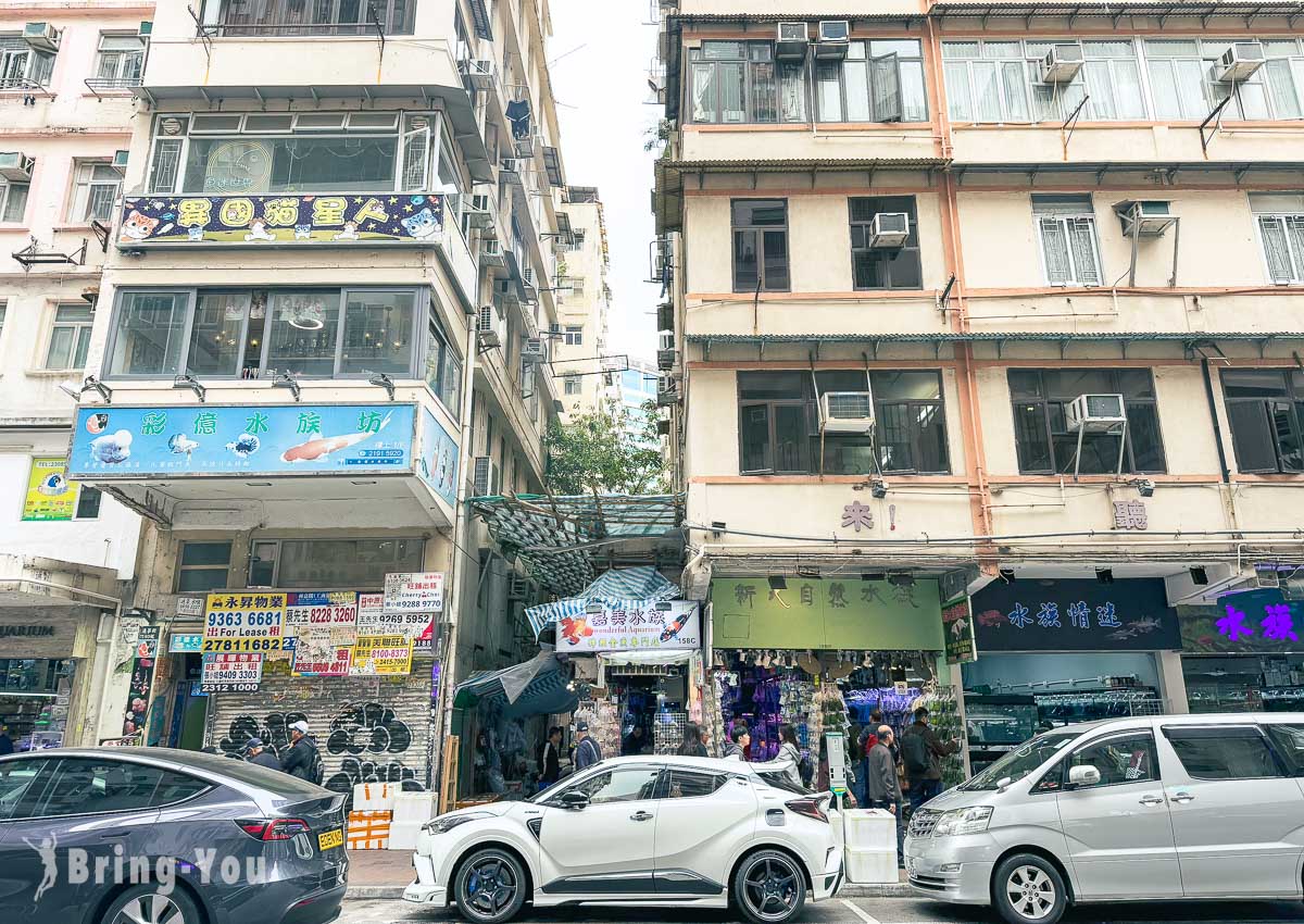 香港旺角景點推薦|金魚街