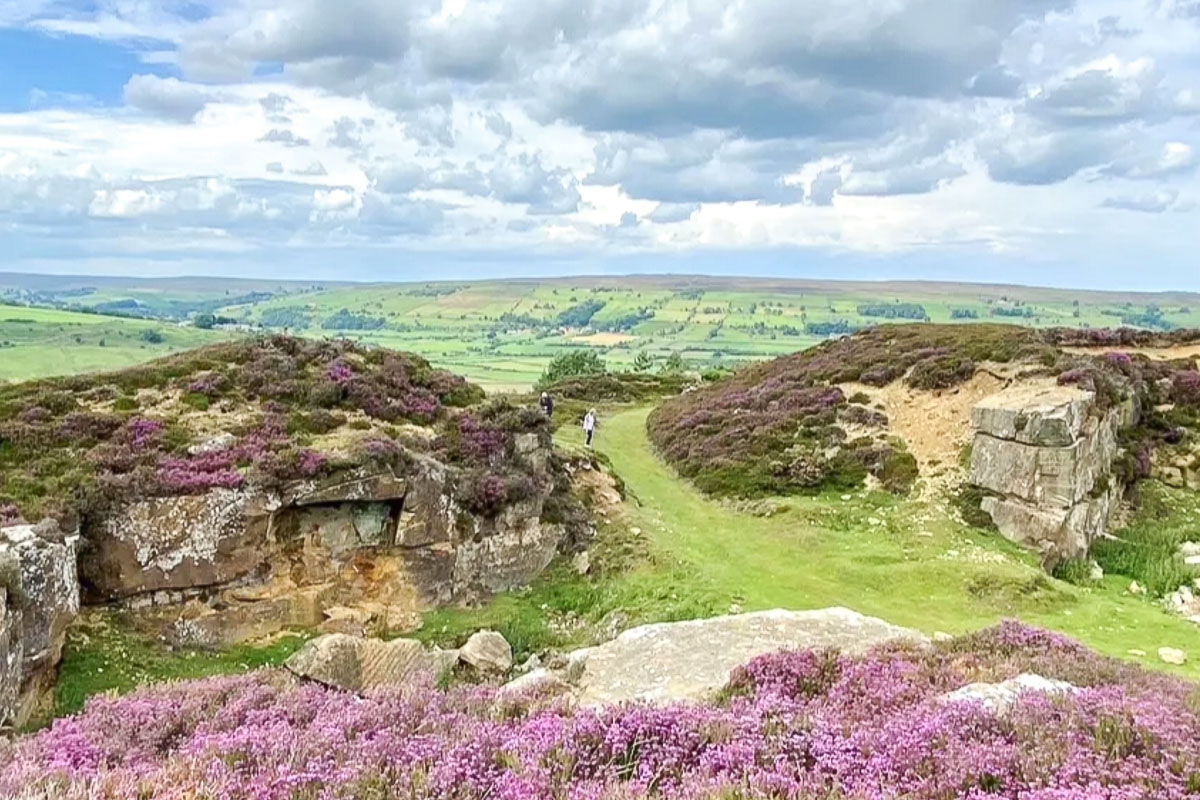 約克郊區景點推薦|北約克沼澤國家公園(North York Moors National Park)